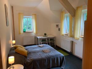 a bedroom with a bed and a table and windows at Penzion Zelené Údolí in Janske Lazne