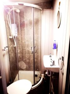 a bathroom with a shower and a toilet and a sink at pen-rhos luxury glamping "The Hare Hut" in Llandrindod Wells