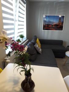 Atpūtas zona naktsmītnē Apartament Silver