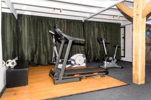 a gym with two exercise bikes and a treadmill at Wellness huisje "Celebration" in Balkbrug