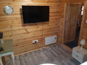 TV a/nebo společenská místnost v ubytování Cabin at Aithernie