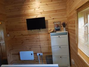 TV a/nebo společenská místnost v ubytování Cabin at Aithernie