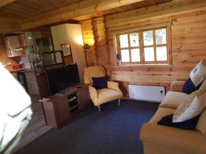 TV a/nebo společenská místnost v ubytování Cabin at Aithernie