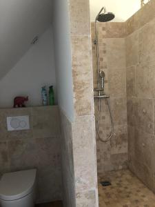 ein Bad mit einer Dusche und einem WC in der Unterkunft CAMPAGNE ET MER in Saâne-Saint-Just