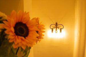 a vase of flowers with a light on a wall at L'OZioRinco Apartments in Florence