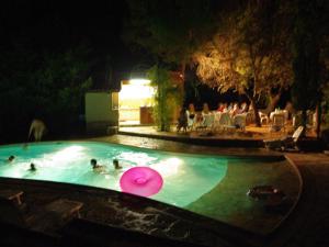 a pink frisbee in a swimming pool at night at Les Chambres d'Hotes au Bois Fleuri in Roquebrune-sur-Argens