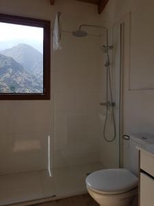 La salle de bains est pourvue d'une douche, de toilettes et d'une fenêtre. dans l'établissement Apartamento casa Bibiana 2, à Hermigua