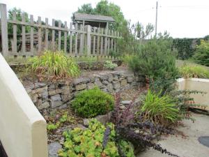 a garden with a wooden fence and some plants at Blackbird House, Apartments and Studios in Wellington