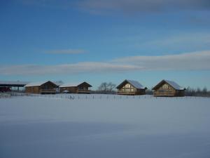 eine Reihe von Holzhütten auf einem schneebedeckten Feld in der Unterkunft Blackthorn Gate in Nunthorpe