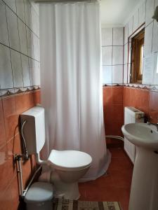 un bagno con un water e un lavandino di Casa Crăciun a Mănăstirea Humorului