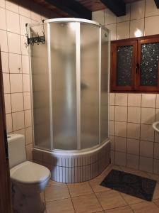 a shower in a bathroom with a toilet at Domek pod lasem in Lubycza Królewska