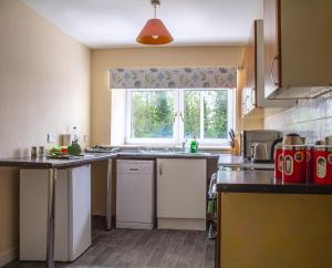 eine Küche mit einem Waschbecken und einem Fenster in der Unterkunft Carvetii - Borthwick House - Ground floor flat in Kinghorn