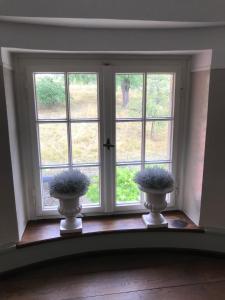 two vases sitting in front of a window at Gasthaus Schwanen in Stühlingen