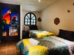 a room with two beds and a painting of a parrot at Hacienda Sassenberg in Miramar