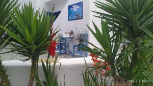 una habitación con plantas y un cartel en la pared en Villa Le Grand Bleu, en Katápola