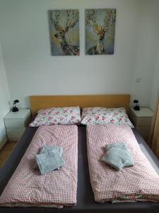 Postel nebo postele na pokoji v ubytování Appartment Dutzler