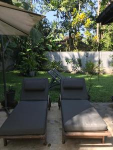 本托塔The Cottage Bentota的庭院里两把躺椅
