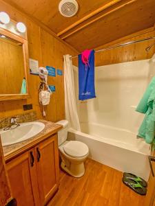 a bathroom with a toilet and a tub and a sink at Healing Waters Resort and Spa in Pagosa Springs