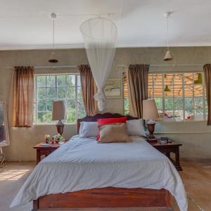 a bedroom with a large bed and two windows at THE LAZY LAPA in Magaliesburg