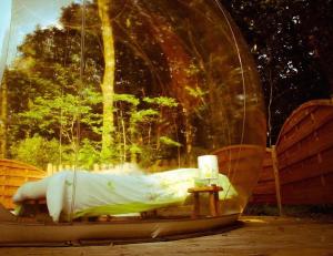 a bed in a glass dome on a table at Bulle d'R in Dournazac