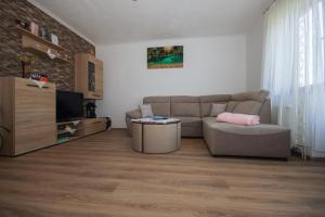TV/Unterhaltungsangebot in der Unterkunft Apartman Lucija & Luka