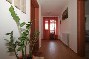 TV/Unterhaltungsangebot in der Unterkunft Apartman Lucija & Luka