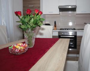 Küche/Küchenzeile in der Unterkunft Apartman Lucija & Luka