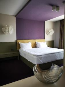 Gallery image of Park Hotel Romantica in Svilengrad