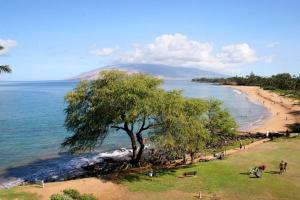 Royal Mauian #506 by Ali'i Resorts