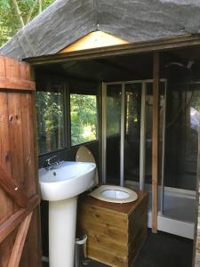 莫尔德Penbedw Uchaf Estate - Rural retreats, tennis的一间带水槽和卫生间的浴室 更多37张照片