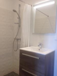 La salle de bains est pourvue d'un lavabo et d'une douche avec un miroir. dans l'établissement Maison du Lac le Studio, à Talloires