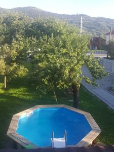 a swimming pool with two chairs and a tree at У Насті in Yaremche