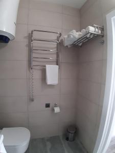 a bathroom with a toilet and a towel rack at Яркая история in Kyiv
