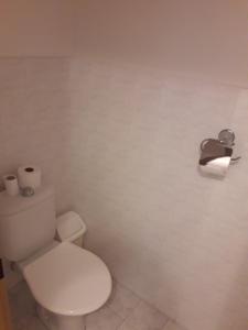 bagno bianco con servizi igienici e carta igienica di Penzion Koupaliště a Litoměřice