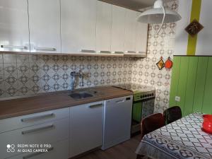 Kuchyň nebo kuchyňský kout v ubytování Apartment Nevela