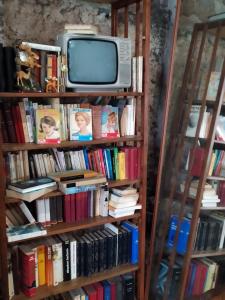 telewizor siedzący na półce z książkami w obiekcie l'heureux bazar w mieście Saint-Nectaire
