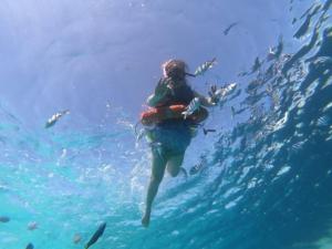 a person swimming in the water with a group of fish at Green World Hotel in Semporna