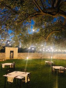 a group of tables in a field at night with lights at Masseria Borgo Santuri in Ostuni