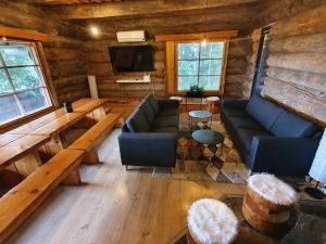 ein Wohnzimmer mit Sofas und einem TV in einem Blockhaus in der Unterkunft Riihitulkku Lodge in Muurame