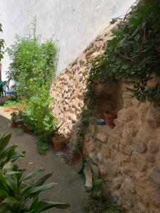 Zahrada ubytování Casa Rural Hotel La Placeta AYORA