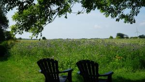 dos sillas sentadas en el césped cerca de un campo de flores en Landhaus Gonnsen, en Emmelsbüll-Horsbüll