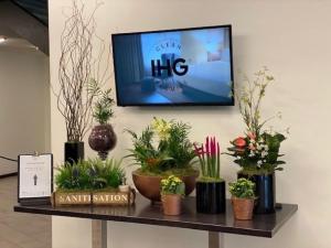 une télévision sur un mur avec des plantes en pot sur une étagère dans l'établissement Crowne Plaza Birmingham City, an IHG Hotel, à Birmingham