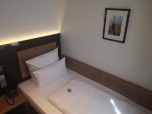 Postel nebo postele na pokoji v ubytování Astor & Aparthotel