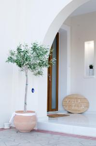 una planta en un gran jarrón al lado de una puerta en Villa Elia II en Mélanes