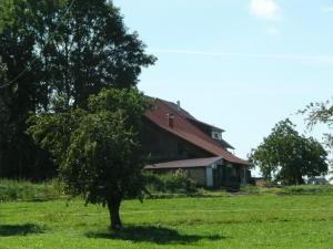 Ferienwohnung Bergblick في Amtzell: شجرة في حقل أمام حظيرة
