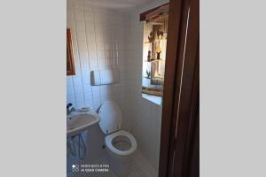 a bathroom with a toilet and a sink at LA PIETRA UMBRA di Benedetta & Bros in Porchiano