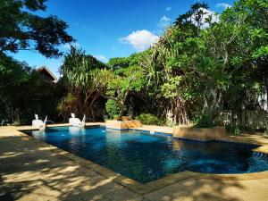 una piscina en un patio con árboles en Jasmine Hills Lodge, en Doi Saket