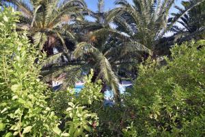 Giardino di Anna Studios