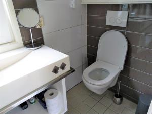 a small bathroom with a toilet and a mirror at Tuinverblijf Lauwersmeer in Anjum