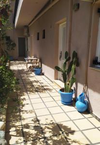 une terrasse avec une plante en pot sur le côté d'un bâtiment dans l'établissement Xenios Dias, à Matala
